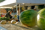 Charleston Farmer's Market
