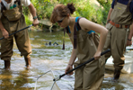 Studying Restoration Efforts at Kickapoo Creek