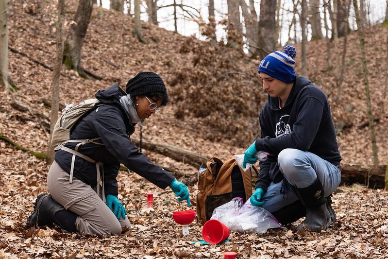 Undergraduate Research Fund