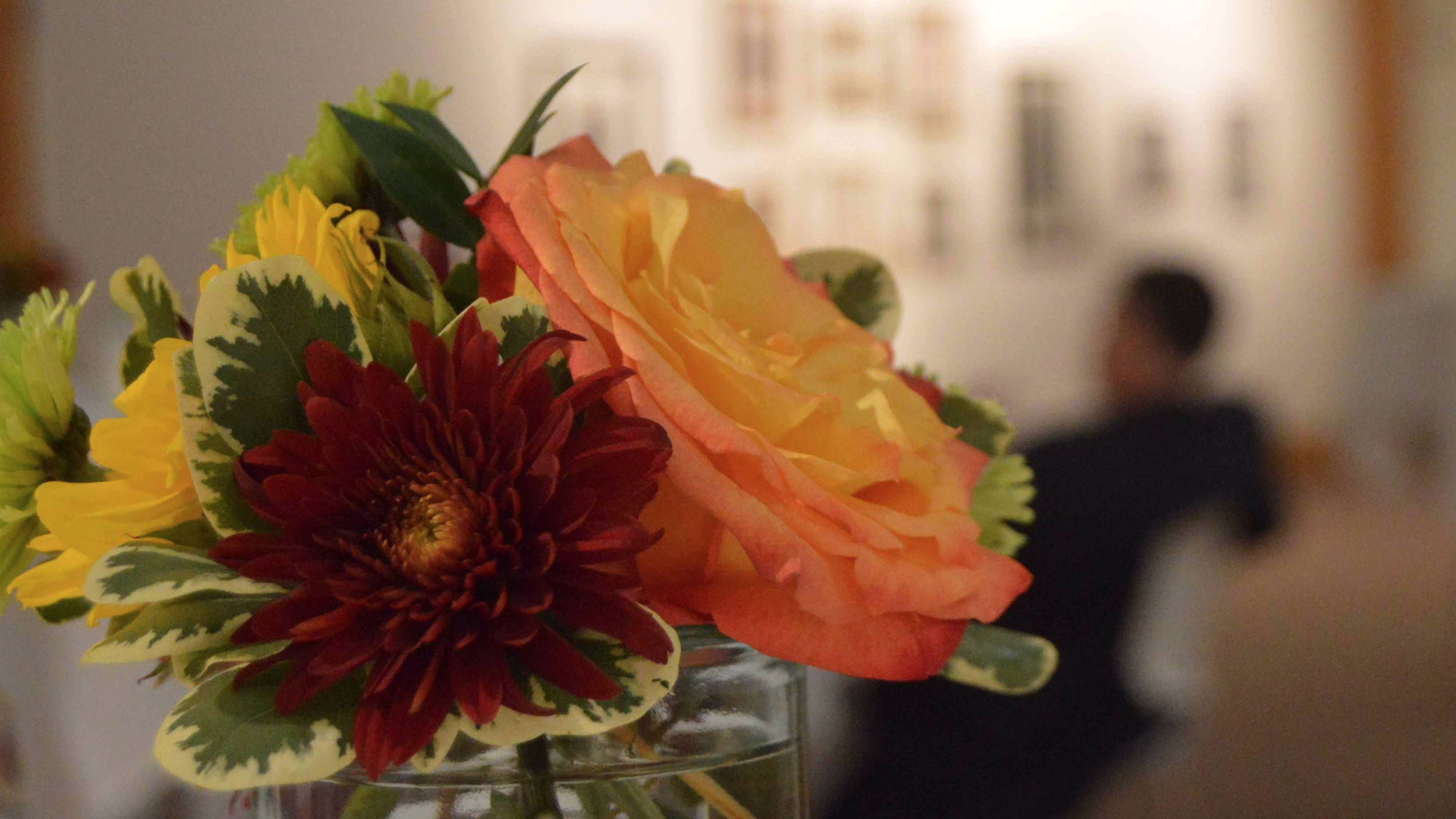 Flowers in foreground with person in chair in background